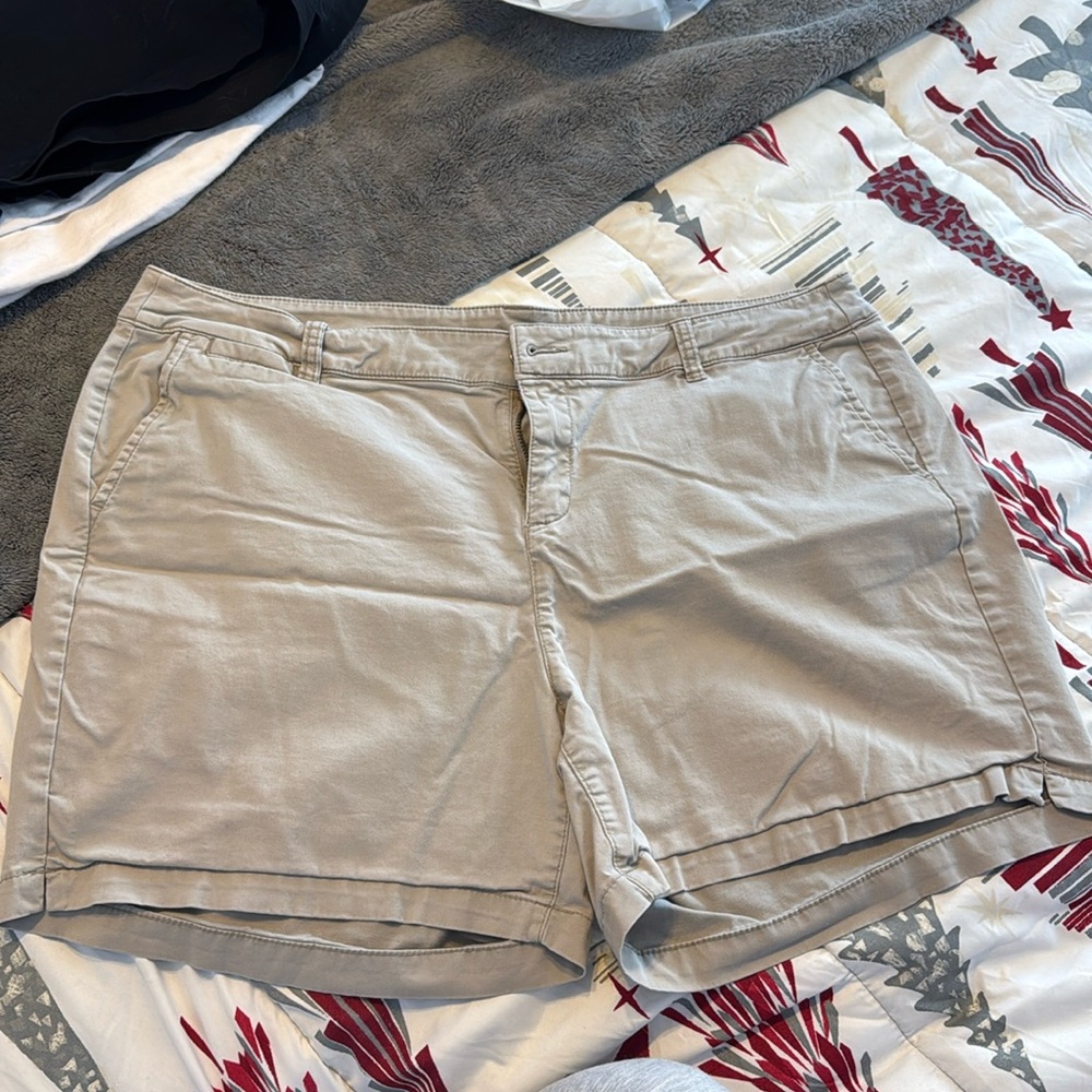 Lane Bryant Shorts